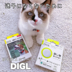 ．迷子にならないために🐈⸒⸒⸒⸒⁡⁡紛失防止スマートタグDIGL⁡⁡のあちゃんとミントに紛失防止スマートタグDIGLを付けたよ✨️⁡⁡保護猫のミントは、何度か脱走してそのた…のInstagram画像