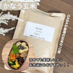 株式会社玄米酵素炊飯器で炊いても美味しい ＆ 冷めても美味しい 北海道産の無農薬栽培玄米 かなう玄米を食べてみましたよ\( ˆoˆ )/ 玄米は好きなんですが、冷めると固くなってしまうので…のInstagram画像