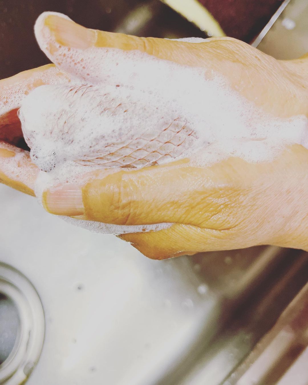 口コミ投稿：株式会社ペリカン石鹸さまからいただきましたキッチン専用の石鹸🧼2週間ほど使ってみ…