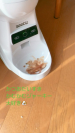 『ペットショップボーイ（R）かつおだいすき かむかむジャーキー』by マルトモ(u0040prebushi_marutomo)我が家の愛犬ティーカッププードル🐶のりりは、かつお節が大好き…のInstagram画像