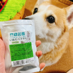 12歳のミルクちゃん🐶いつまでも元気でいてほしい😃足の関節が弱くなって来てるのでサプリ！いぬだペチプト🐕喜んでパクって食べてます😋#PR #日本予防医薬 #いぬだペプチド #ペットサプリ …のInstagram画像