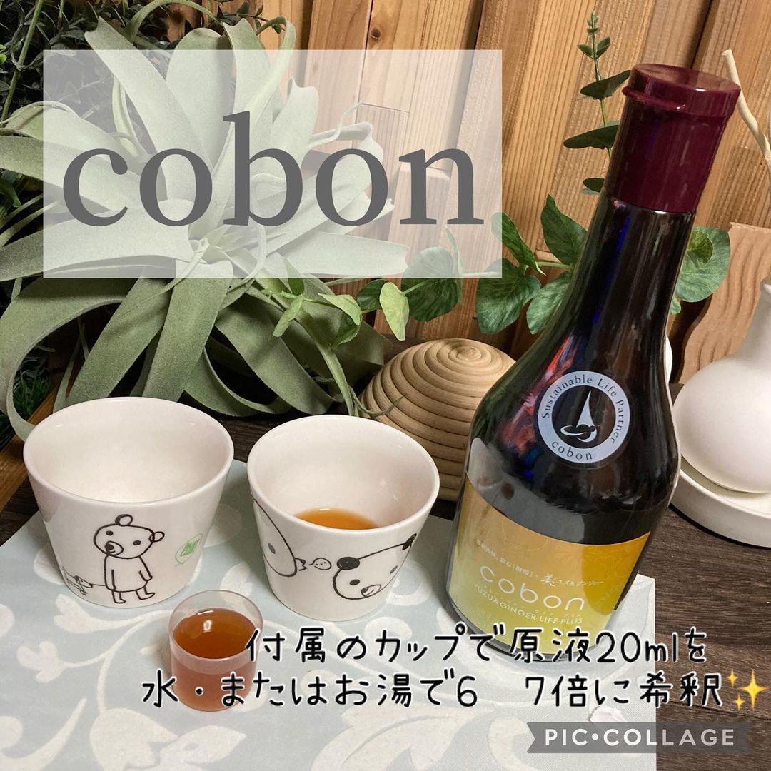 口コミ投稿：天然酵母飲料コーボン（cobon）！コーボンユズ＆ジンジャーライフプラスN525をお試し…