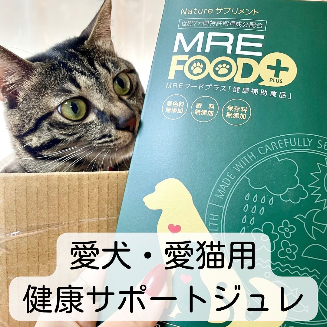 口コミ投稿：愛犬・愛猫用/健康サポート食品 MREフードプラスu0040mre_foodplus 様が販売している…