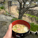 なべ焼きや キンレイお水がいらない 京風だしのおうどん@kinrei_fan 様桜が咲く頃になると美味しい京風のおうどん食べたくなりませんかー？🥳キンレイのおうどんはだし、麺、具が一つ…のInstagram画像