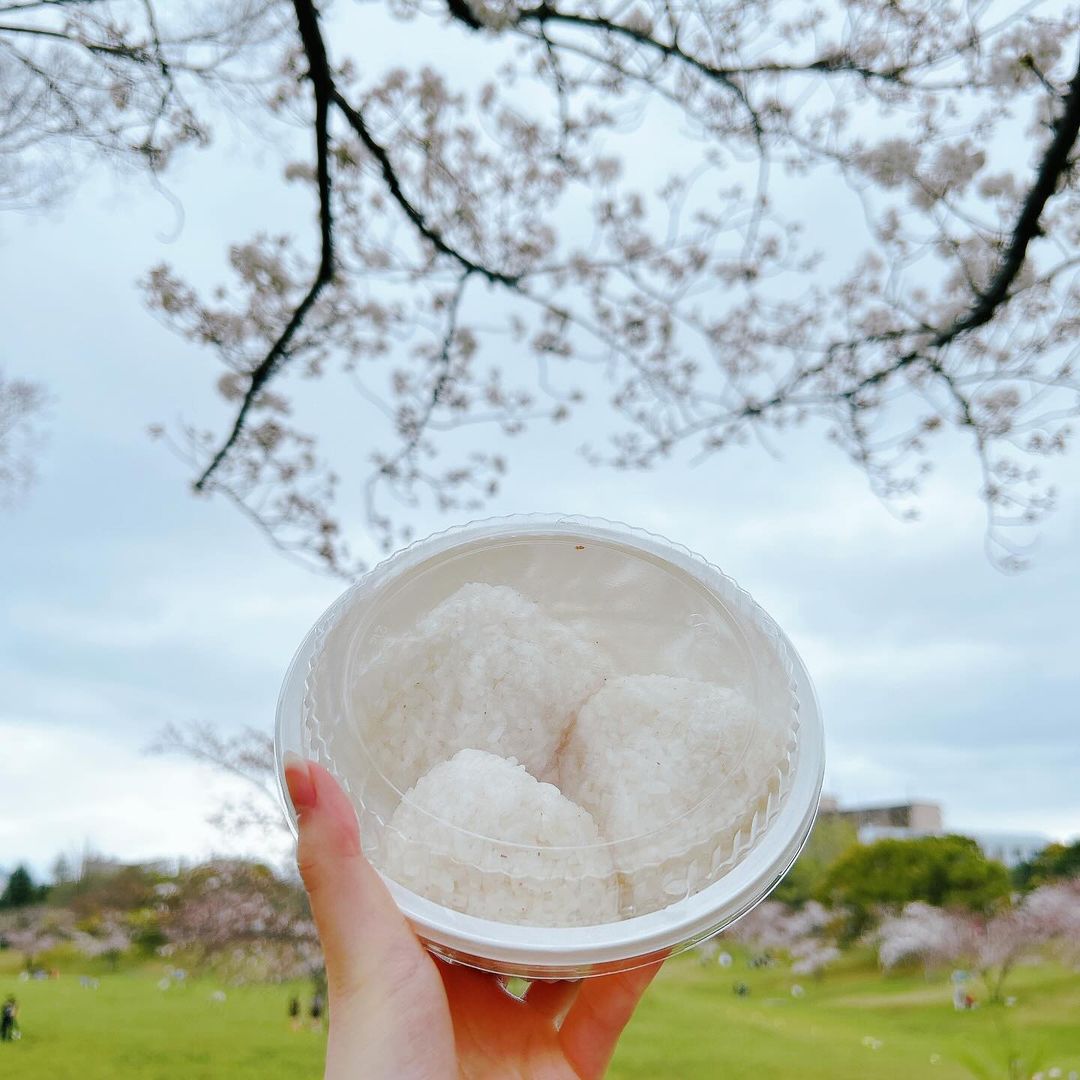 口コミ投稿：⁡\  春が感じられる自然のお塩✨ /⁡⁡❥ 海の精 桜の塩⁡@uminoseishop ⁡・････━━━━━━━━━…