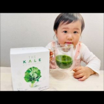 苦くない！おいしい！！と娘のイチオシジュース🍹@kyusai_kale_official さまのザ・ケール　ミニスティック🥬豊富な栄養素と飲みやすさが魅力的✨✨✨2歳の娘はジュース感…のInstagram画像
