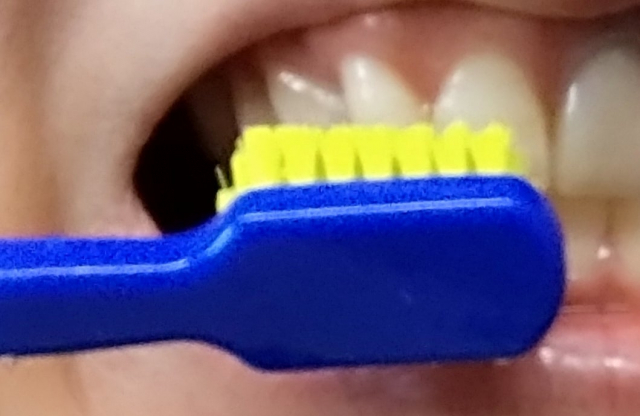 口コミ：もっちり、ふわふわ スイス生まれの歯ブラシ「クラプロックス」の画像（3枚目）