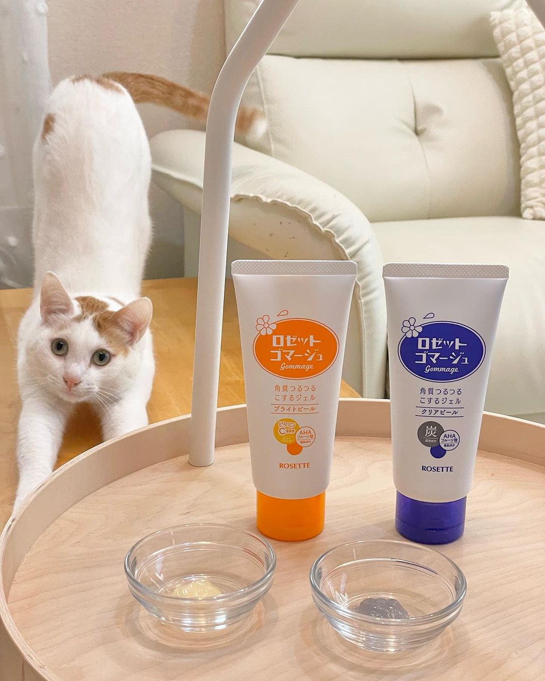 口コミ投稿：のびをしててもキャメラ目線ランちゃん🐈そもそもわざわざカットインしてきて自然にの…