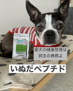#PR #日本予防医薬 #いぬだペプチド #ペットサプリ #犬の健康 #犬のいる暮らし #いぬすたぐらむ #イミダペプチド #イミダゾールジぺプチド #monipla #imida_fan人間用の…のInstagram画像
