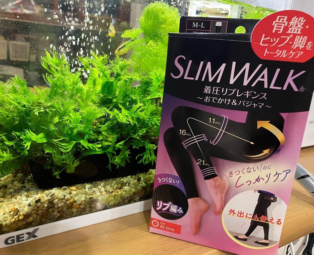 口コミ投稿：スリムウォークデビュー。SLIMWALK 着圧レギンス　MLサイズを着用しました。今まで何…