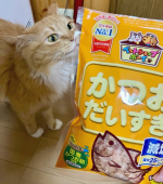 マルトモだいすきシリーズ【公式】様@daisuki_petfoods マルトモファンサイトイベント「【犬猫飼い主さま限定/画像投稿イベント】ねこちゃん・わんちゃんのかわいいお顔みーせて♥…のInstagram画像