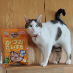 マルトモ株式会社さんのねこちゃん・わんちゃん専用の減塩花かつおをモニターしましたのでご紹介します🎶⁡⁡⁡⁡減塩というのが嬉しいですね！⁡⁡⁡ドライフードに飽きて残したりする時にふりかけ代わりにひ…のInstagram画像
