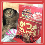 【PR】#PR #マルトモ株式会社 #大切な家族のために #かつおだいすき #だいすきシリーズ #マルトモのかつお節 #マルトモのだしの素 #煮干しまるごとだしの素 #monipla #marut…のInstagram画像