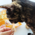 *我が家には、2歳のサビ猫（女の子）がいます🐈️かつお節が大好き🐟カリカリだけだと残す時もかつお節をトッピングするとよく食べてくれます美味しそうに食べるんですよ😻　こちらのかつお節…のInstagram画像