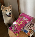 #PR #マルトモ株式会社 #大切な家族のために #かつおだいすき #だいすきシリーズ #マルトモのかつお節 #マルトモのだしの素 #煮干しまるごとだしの素 #monipla #marutomo_fa…のInstagram画像