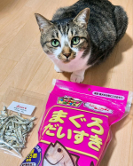 �マルトモ株式会社のだいすきシリーズのかつお節と、試作品の煮干しのおやつをお試ししました🐟かつお節や煮干しはご飯のトッピングとして食べることの多い我が家🐱今回も写真を撮っている時から興味津々のフ…のInstagram画像