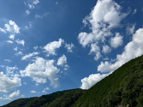 口コミ：【玉露園】減塩こんぶ茶がバーベキューにめっちゃ使える！の画像（8枚目）