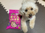 🐾🐶🐩モニプラ様のキャンペーンに当選し、マルトモのペット用かつお節をいただきました🐟国内原料・国内製造加工で安全安心な高タンパク低脂肪のペット用おやつです！かつお節がとにかく大好きなマロン！…のInstagram画像