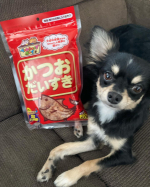 ねこちゃん、わんちゃん、のおやつ我が家のチワワもお気に入り。国産かつおを使用食べやすくおいしいようで、おやつタイムには大騒ぎ😄#PR #マルトモ株式会社 #大切な家族のために #かつおだい…のInstagram画像