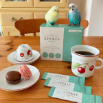 我が家のインコカフェ。コーヒーには『コラゲネイドスティック』を入れますよ！🐥🐥☕️😊.  『コラゲネイドスティック』は、携帯に便利な顆粒タイプのコラーゲン。無味無臭で溶けやすいので、私は毎日コーヒー…のInstagram画像