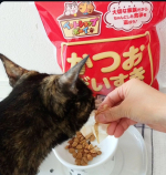*2歳のサビ猫（女の子）がいます🐈️かつお節が大好き🎶カリカリにトッピングすると、ほんとによく食べてくれます😻ハイッと差し出すと、ニャンニャン言いながら駆け寄ってきます🐈️💨その…のInstagram画像