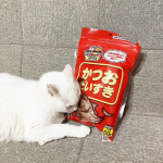  ︎︎ ︎︎猫ちゃんが飛びつく『 かつおだいすき 』を愛猫に与えてみました！ ︎︎我が家の猫ちゃんもかつお節が大好きなので開けた瞬間飛びついてきました！匂いだけでも早く食べさせて…のInstagram画像
