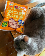 マルトモ株式会社さまより我が家のくりおに「かつおだいすき」と飼い主の私に「煮干しまるごとだしの素」をいただいたので試してみました♪我が家の愛猫はロシアンブルーのくりお♂14歳。少し前から体調を…のInstagram画像