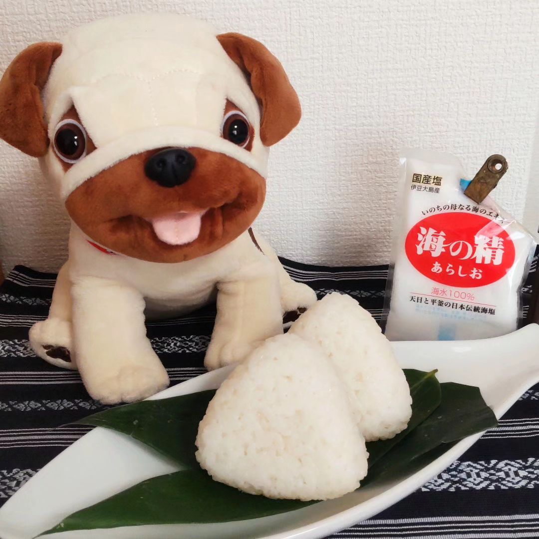 口コミ投稿：モニプラファンブログ様より 【海の精 あらしお】を頂き、“塩むすび作り”のイベント…