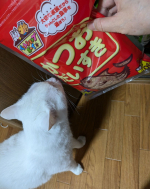 以前もこんな感じの投稿をUPしたことがあるけれど😂おやつですよ～♪と言うと寄ってきて「今日はニャンのおやつですか？」と言わんばかりにパッケージをクンクンします🐱食べたことのあるおやつのパッケージ…のInstagram画像