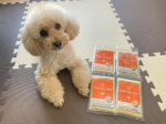 🐩🐶🐾@petokotofoods 『フレッシュペットフード』ポーク、ビーフ、フィッシュ、チキンの4種類！チキンが一番の好物だけど、4種類とも食いつきが良かった！お肉や野菜がたっぷりで…のInstagram画像
