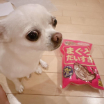 まぐろだいすき！香りがすごく良くて、カツオ！我が家のわんこも大好きです!#PR #マルトモ株式会社 #大切な家族のために #かつおだいすき #だいすきシリーズ #マルトモのかつお節 #マル…のInstagram画像