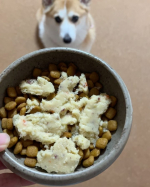 @petokotofoods さんのフレッシュペットフード🐶ミルクちゃんいつものドライフード急に食べなくなってしまって…困ってた時に！半分ずつにしてあげたらめっちゃ喜んで食べる食べる！いつも残す…のInstagram画像