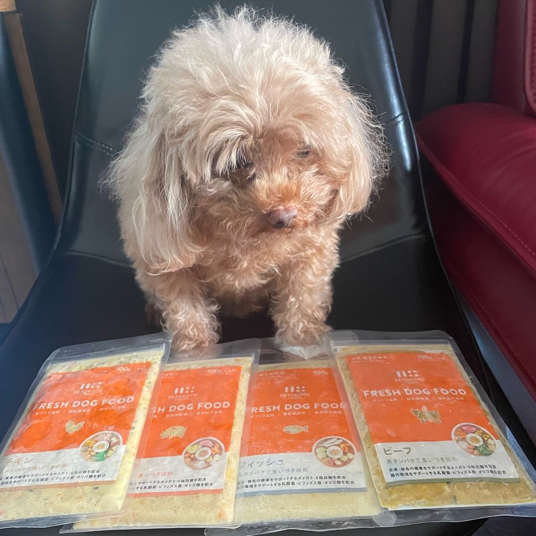 口コミ投稿：( @petokotofoods )さんのごはん🐶❤️フィッシュチキンビーフポークの4種お試しさせて…