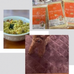 初めて食べる時からすごく待ちきれないお顔にちょっと笑った🤣なんで、自分のご飯ってわかったんだろう？🤔しれっと食べちゃったら怒られたかな？食いつき抜群のフレッシュフード🐾ペトコトフーズを…のInstagram画像