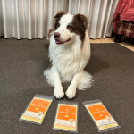ペトコトフーズ(@petokotofoods )！名前は聞いたことがあり、ずっと気になっていたドッグフード🐶🖤冷凍で届き、お味はビーフ、ポーク、チキン、フィッシュを、愛犬に食べてもらいました。…のInstagram画像