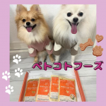 新鮮なご飯✨ペトコトフーズを愛犬2匹🐶🐶おもちときなこに食べてもらいました🩷ワクワクしながら温めてるのを待っててあげたらこのがっつき🐶💛🩷💜いつもはドライフードだったけど、やっぱりわんちゃ…のInstagram画像