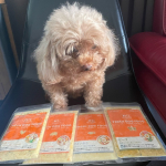 ( @petokotofoods )さんのごはん🐶❤️フィッシュチキンビーフポークの4種お試しさせてもらいました❤️チキンもいいけどビーフの食いつき💯我が家はトッピングとして少し混ぜ…のInstagram画像