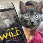 20240927 盆明けから我が仕事は本格的にシーズンイン🐈‍⬛ネコの手🐈‍⬛諸々でソレナリにカバー出来るけれど🤫タフな日々を乗り越えるにはメンタルとフィジカルのバランスを如何に保つかが大事⁉️な、な…のInstagram画像