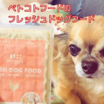ベルちゃんの幸せ♡ごはん大〜好きなべるる🍚❤️ちょっと中年太りも気になりますが😅健康においしいごはんを食べてほしい！そこでペトコトフードのフレッシュドッグフード新鮮な野菜とお肉で栄養も計…のInstagram画像
