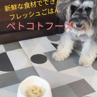 口コミ投稿：(⋈◍＞◡＜◍)。✧♡新鮮な食材でできたフレッシュごはん「ペトコトフーズ」 普段ドックフ…