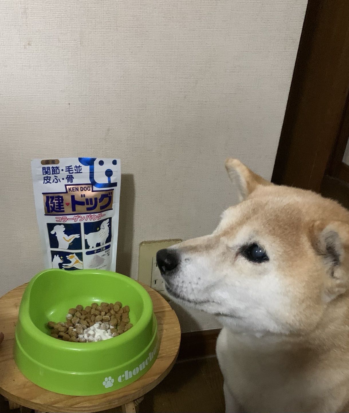 口コミ投稿：#PR #新田ゼラチン #健ドッグコラーゲンパウダー #犬用コラーゲンサプリメント #moni…