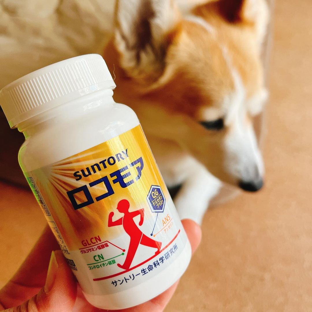 口コミ投稿：いつまでも元気でいたい！膝に不安があってミルク🐶のお散歩も沢山したいけど。。。脚…