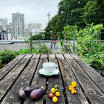 先日の屋上。庭仕事をしていました😊．夏野菜の苗とさよならしながら、秋冬のお野菜の準備をしています。種まきをした青梗菜、小松菜、高菜、野沢菜、紅芯大根などの芽も出てきて嬉しいです。．飲み物は…のInstagram画像