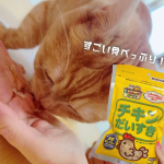 マルトモ株式会社様より、・猫ちゃん用かつおぶし「チキンだいすき」・人間用ソフトけずりかつおぶし頂きましたー！元々かつおぶしが大好きなうちのmoca君、すごい食いつきっぷりで美味しそうに食べ…のInstagram画像
