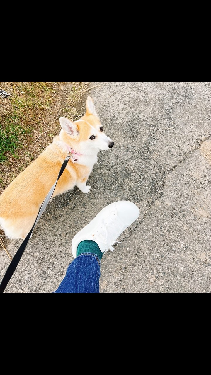 口コミ投稿：新しいスニーカー👟これ普通のスニーカーじゃない！！何と！お腹まわりの筋肉にアプロ…