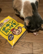 マルトモの猫様絶賛【チキンだいすき】&人間（猫様の下僕）のかつお節と🤣チキンだいすきは開けた時の香りがとても良いです♥️食い付きがすごくてあっという間に無くなったので追加買いおやつは必ず…のInstagram画像