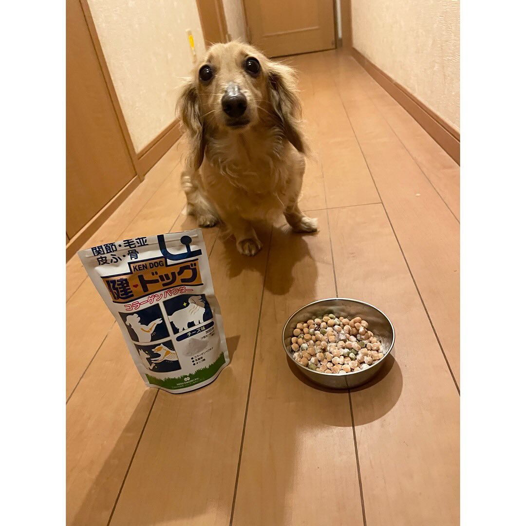 口コミ投稿：犬用コラーゲンパウダー【健・ドッグ コラーゲンパウダー】🐶 🐾..✔️小型犬やシニア犬…
