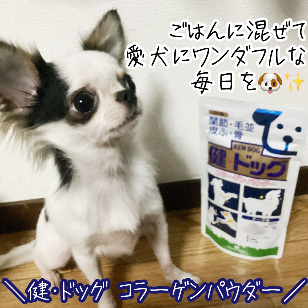 口コミ投稿：ごはんに混ぜて愛犬にワンダフルな毎日を🐶✨＼健・ドッグ コラーゲンパウダー／あの、…