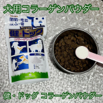 【健・ドッグ コラーゲンパウダー】初めてうちの子に、サプリメント的なものを食べさせてみました✨✨我が家の方針としては、できるだけ栄養価の高いその子に合ったフードをしっかり食べさせてあげたいとい…のInstagram画像