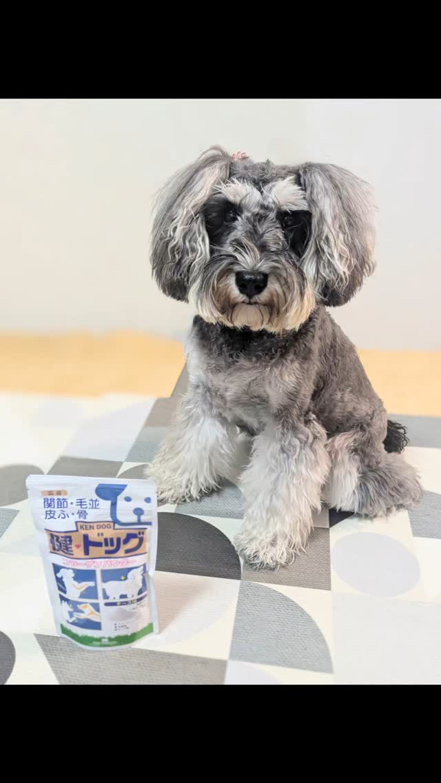 口コミ投稿：(⋈◍＞◡＜◍)。✧♡ コラーゲンの専門店 新田ゼラチンダイレクト様の犬用コラーゲンサプ…